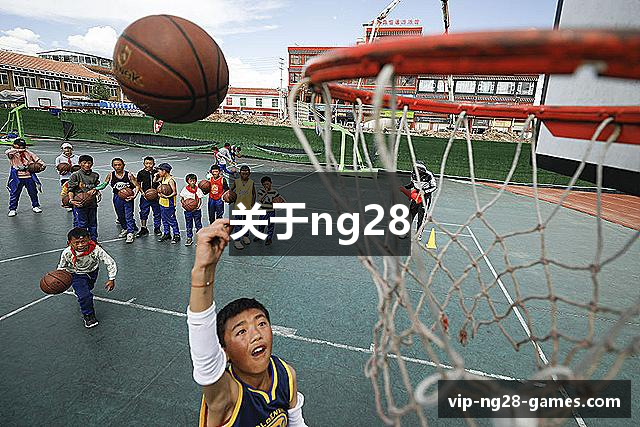 关于ng28